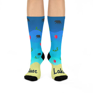 Bear Lake Monster Cushioned Crew Socks